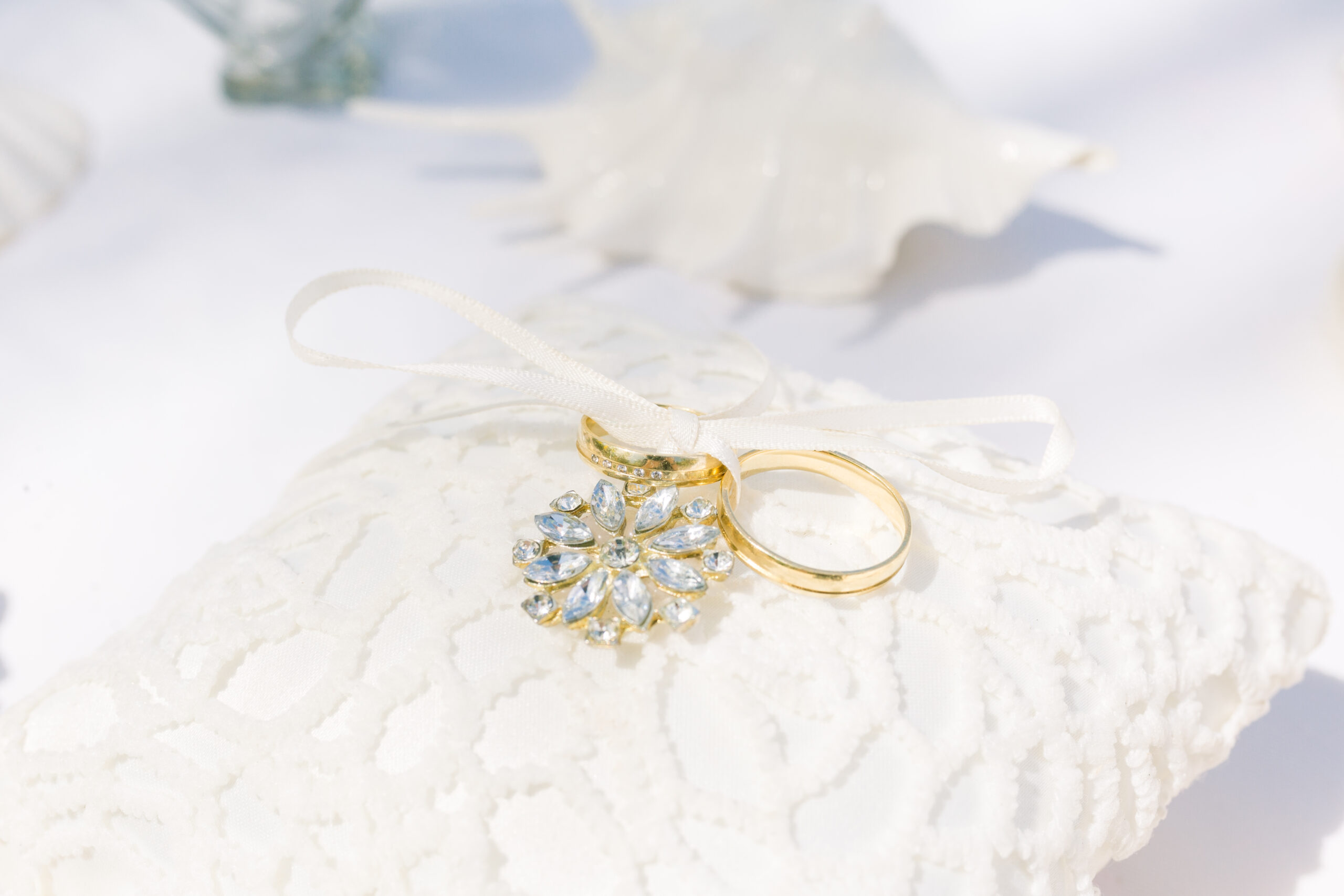 LizArtStudioPhotography_09_13_2021_11 LizArtStudioPhotography_09_13_2021_11