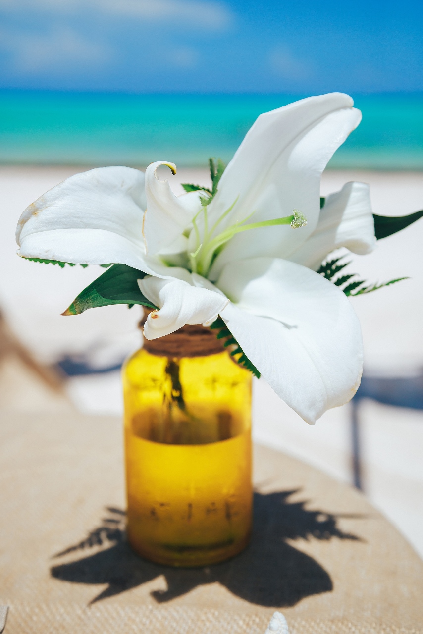 Karibik-Hochzeit-6 Karibik-Hochzeit-6