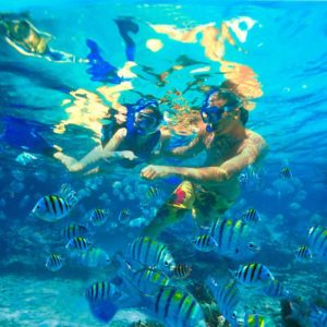 catalina-isla-snorkelling-saona-dreams-dominican-republic-excursion-1