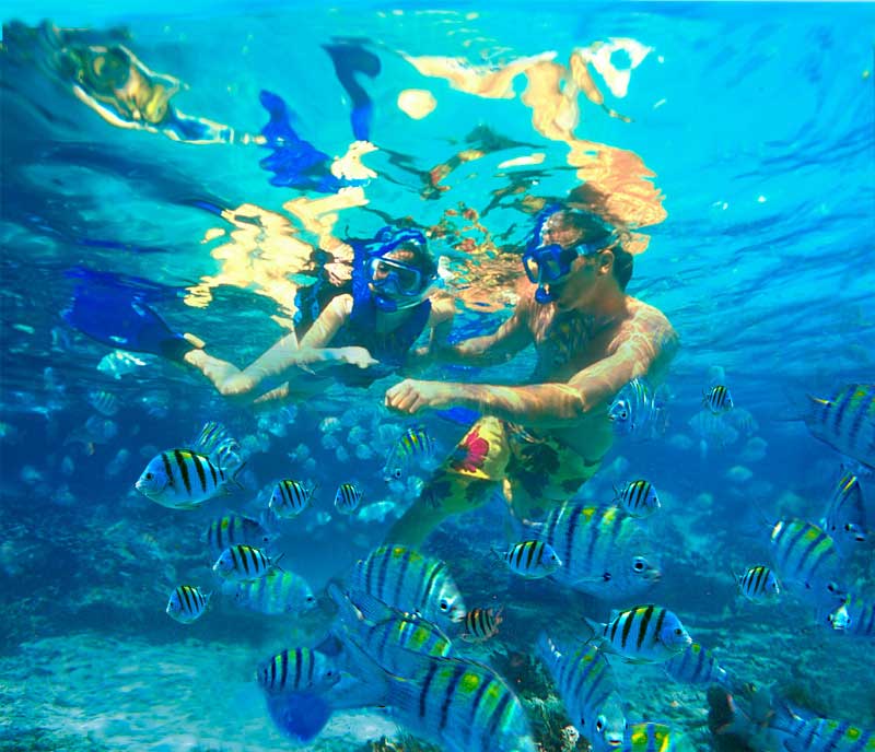 catalina-island-snorkelling-saona-dreams-dominican-republic-excursion-1 catalina-island-snorkelling-saona-dreams-dominican-republic-excursion-1