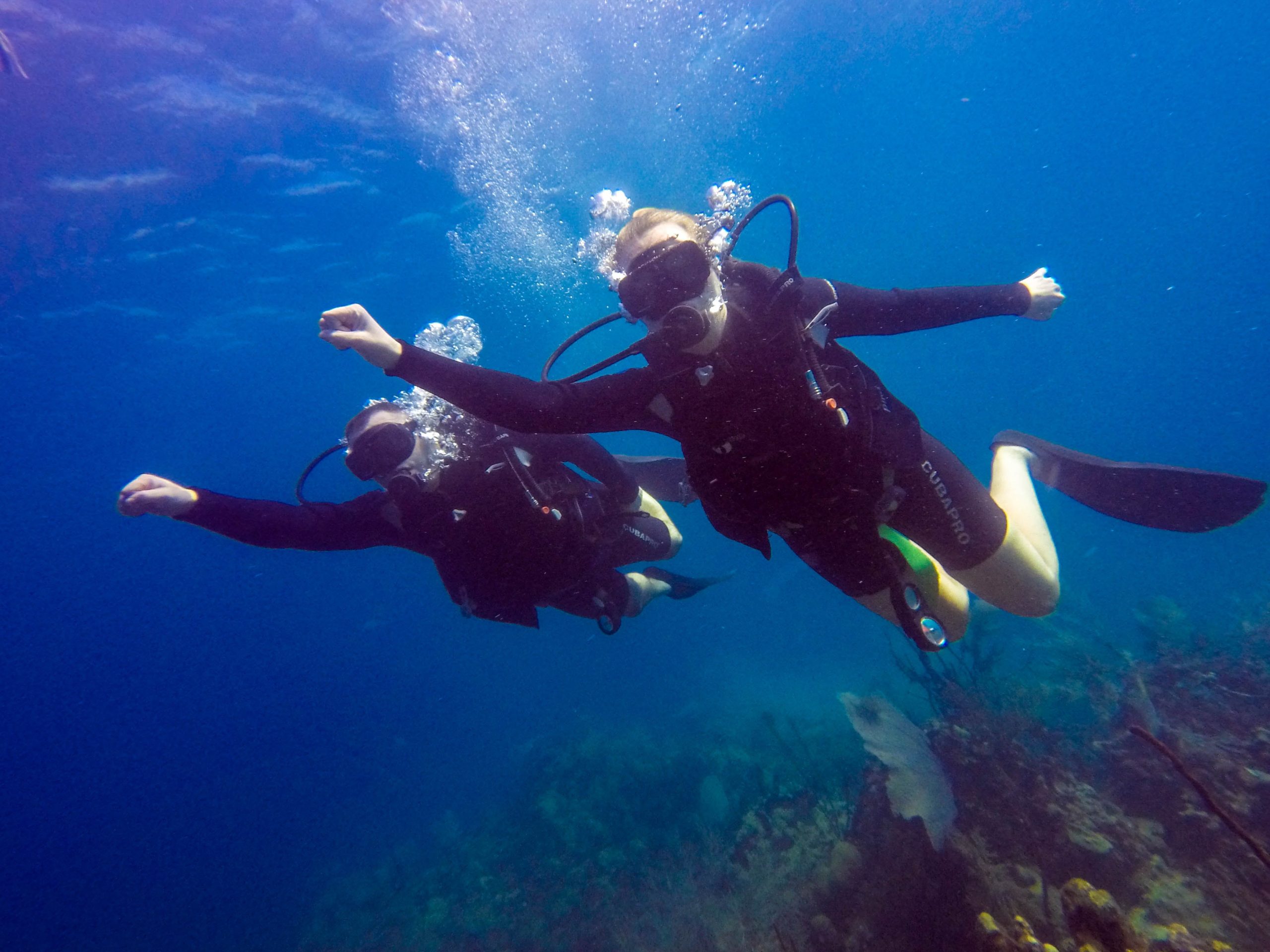 catalina-island-with-scuba-diving-full-day-tour_494347 catalina-island-with-scuba-diving-full-day-tour_494347