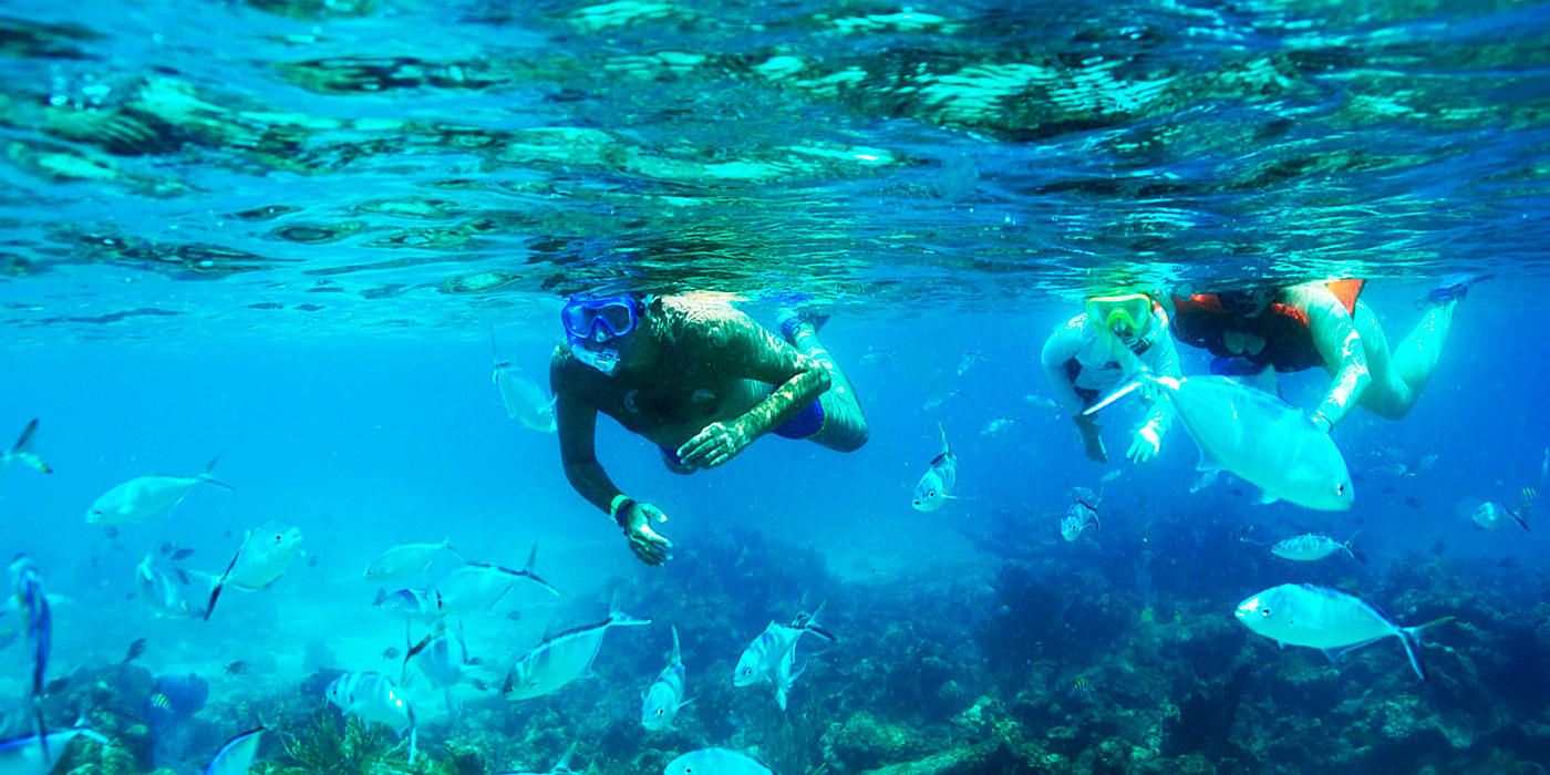catalina-snorkel catalina-snorkel