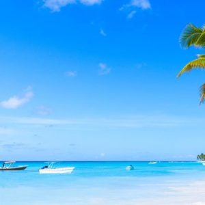 go-on-a-private-excursion-to-saona-island-310-1024×480