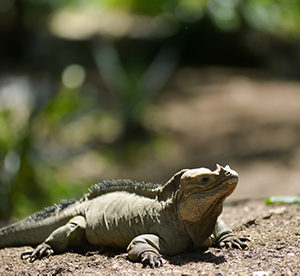 hoyo-azul-3