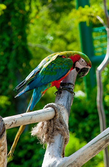 hoyo-azul-5_900x651 hoyo-azul-5_900x651