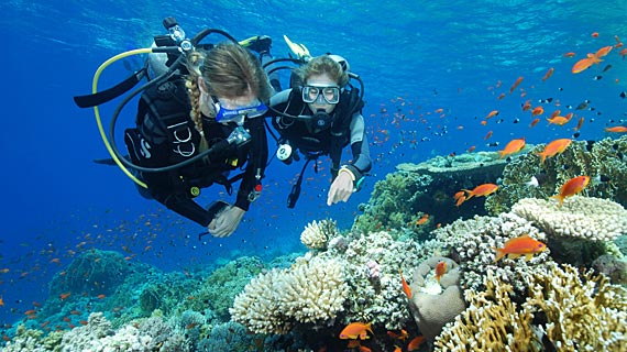 scuba-diver-large-1 scuba-diver-large-1