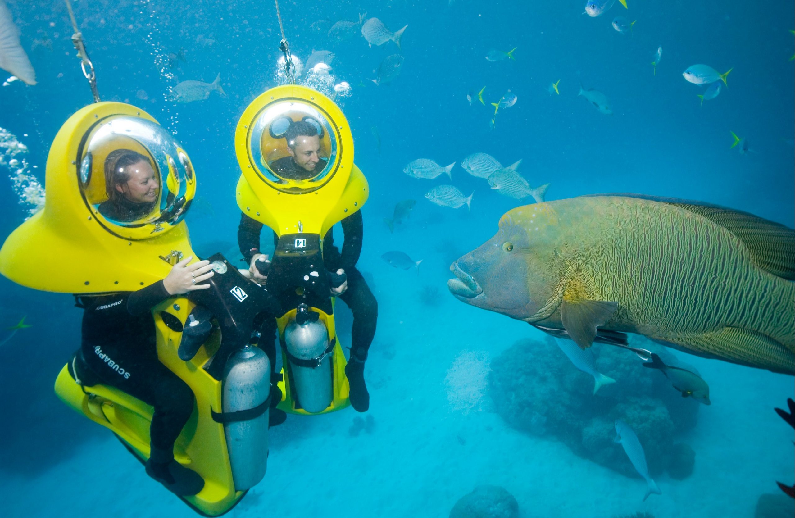 scuba-doo-punta-cana-scaled-1 scuba-doo-punta-cana-scaled-1