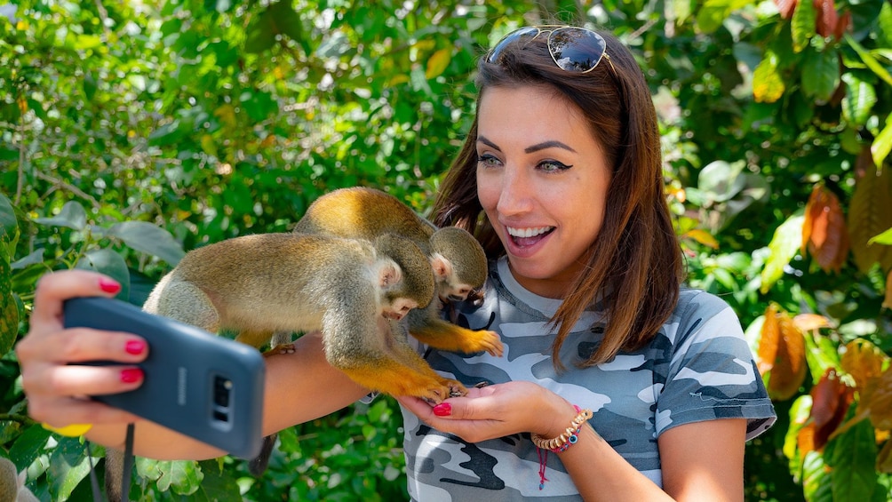 7fd642c9-0c54-4fdd-8446-fa031b51f6ec