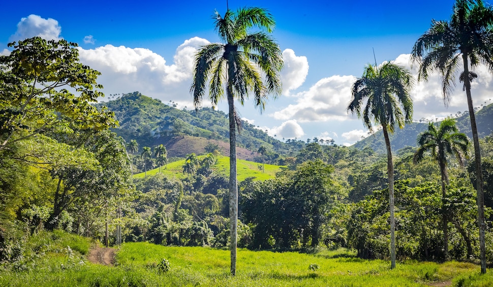 8dc62c2a-44e8-495c-bbd0-2b5bd2632024