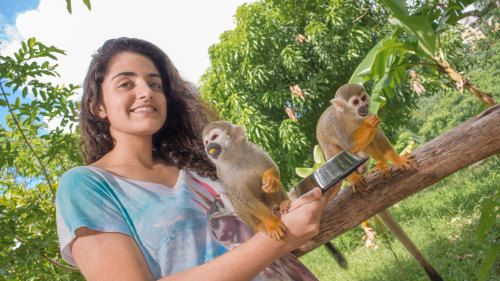 e862dcd3627eedbf6fead3e986e976b4